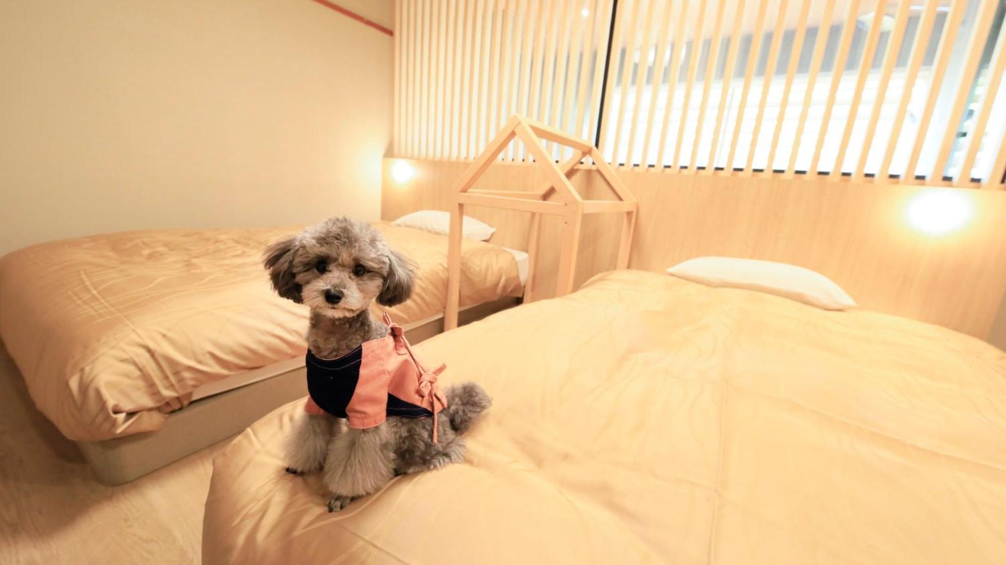Hotel Yururi Nishiizu Izu  Zewnętrze zdjęcie